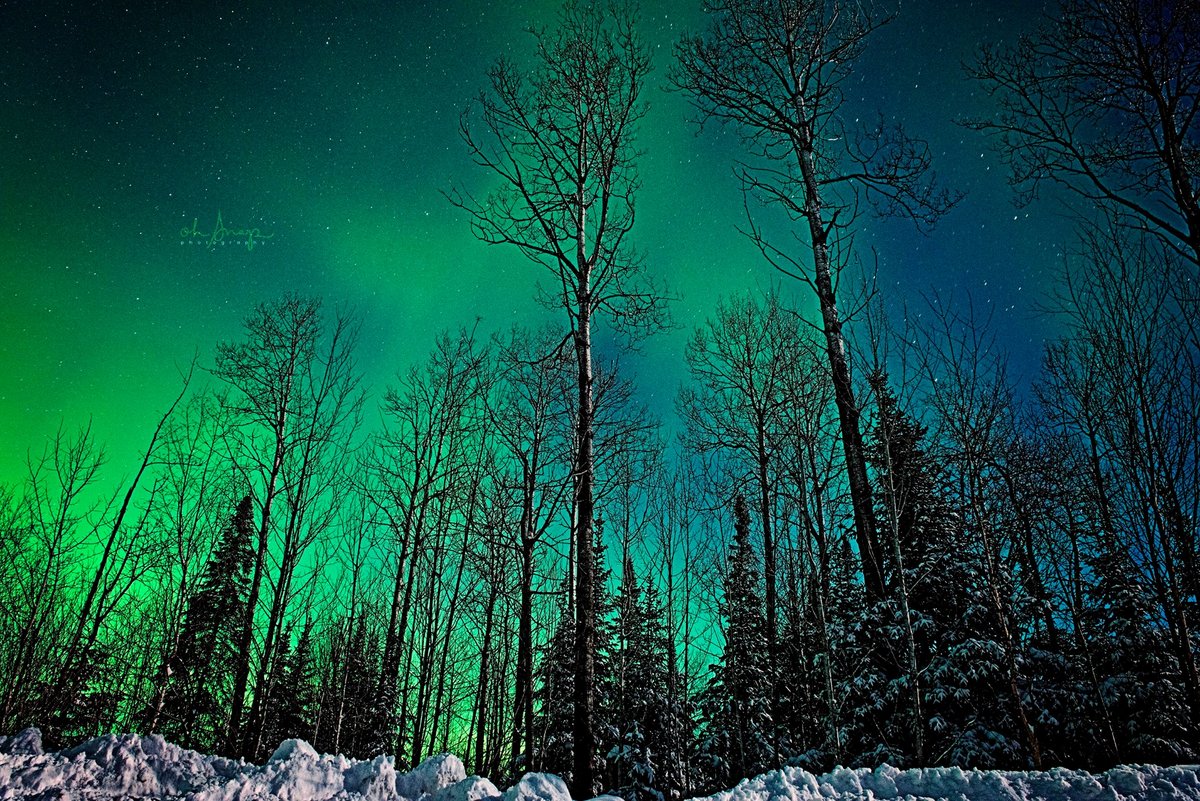 Aurora Borealis, Thunder Bay Ontario