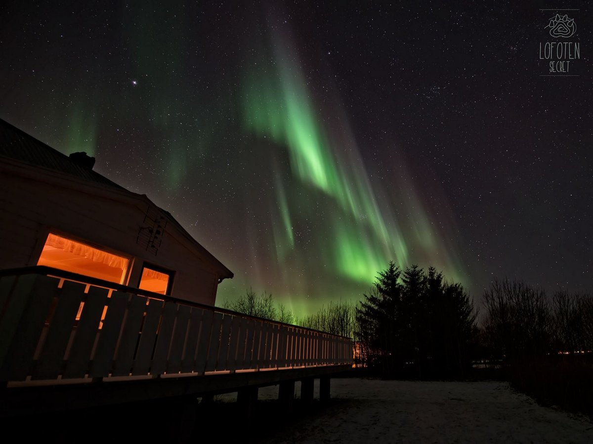 Aurora Borealis Lofoten, Norway