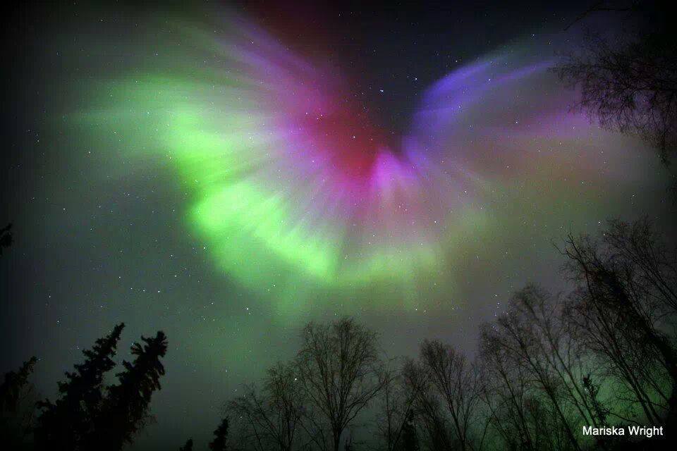 Aurora Borealis Near Two Rivers, Alaska