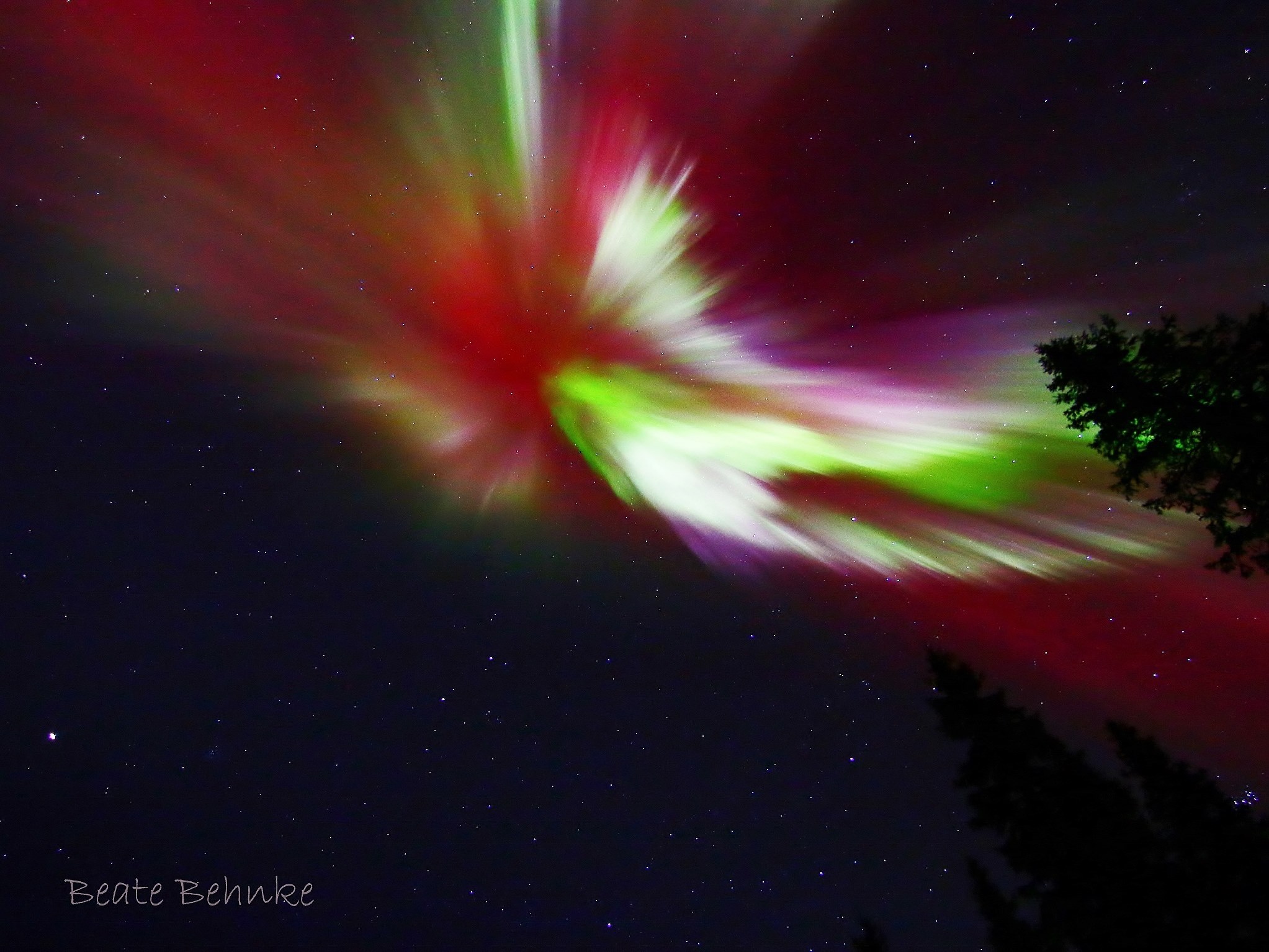 Aurora Borealis: Swedish Lapland