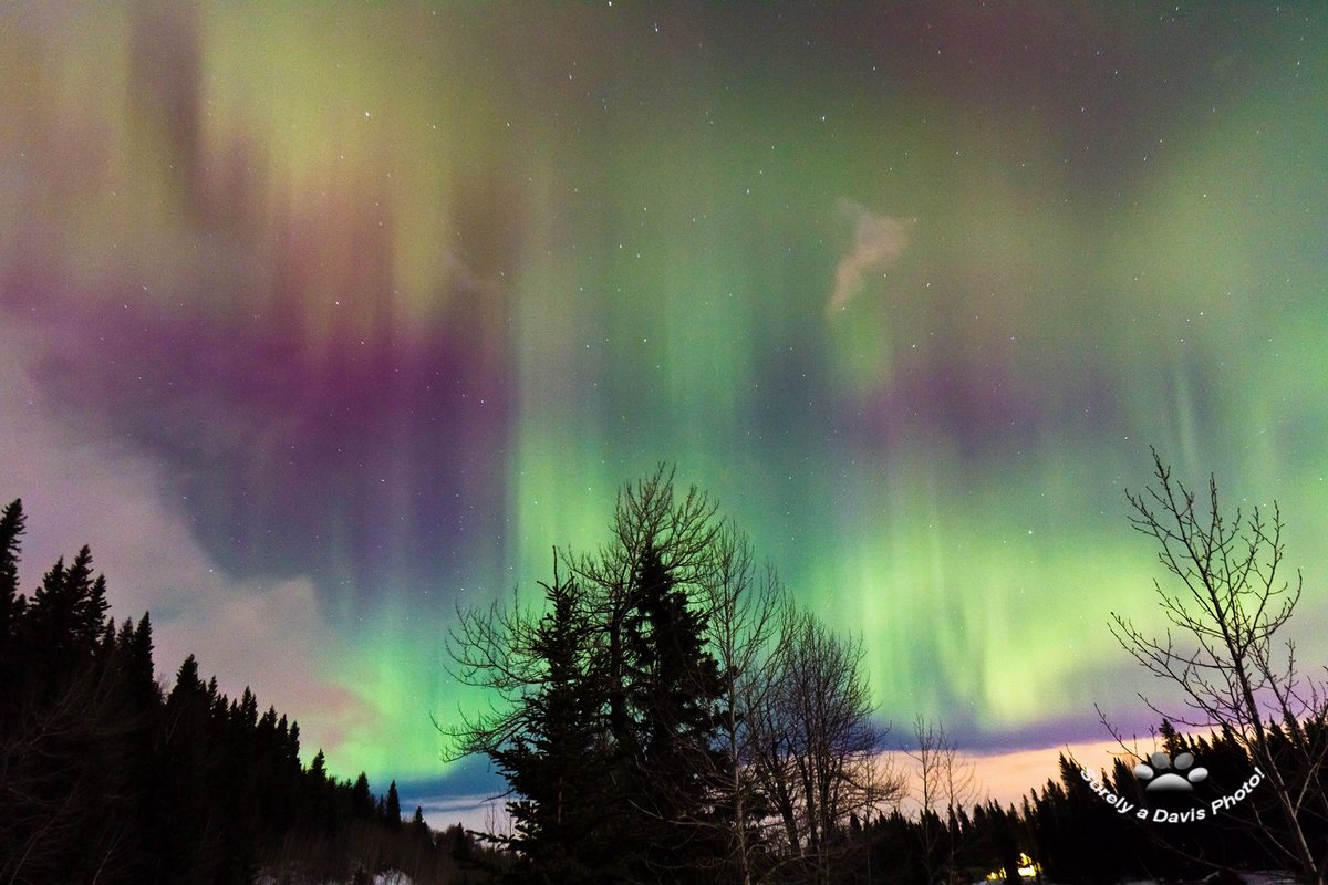 Aurora Borealis taken in Bragg Creek Alberta