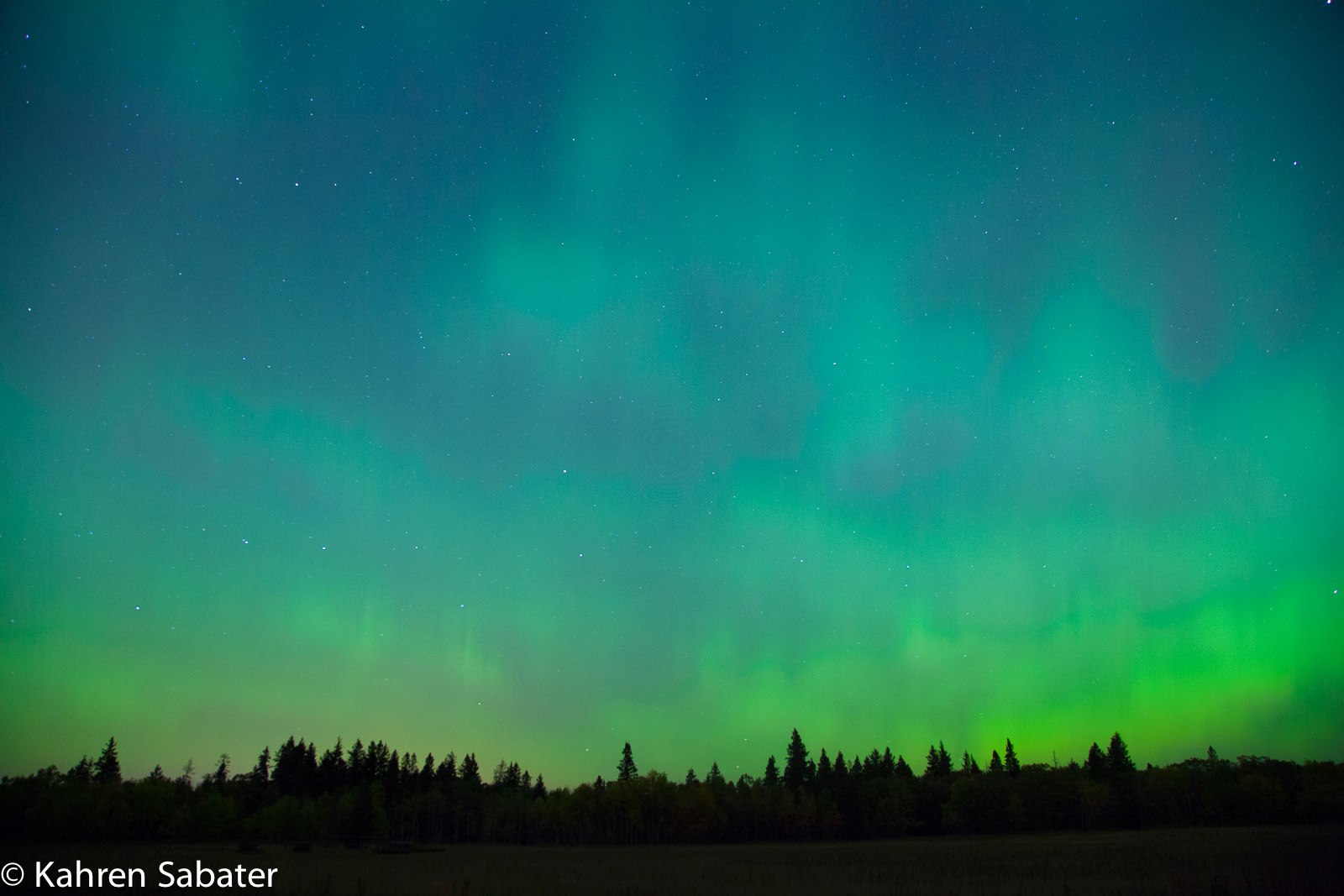 Aurora Borealis at Birds Hill Park, Manitoba.